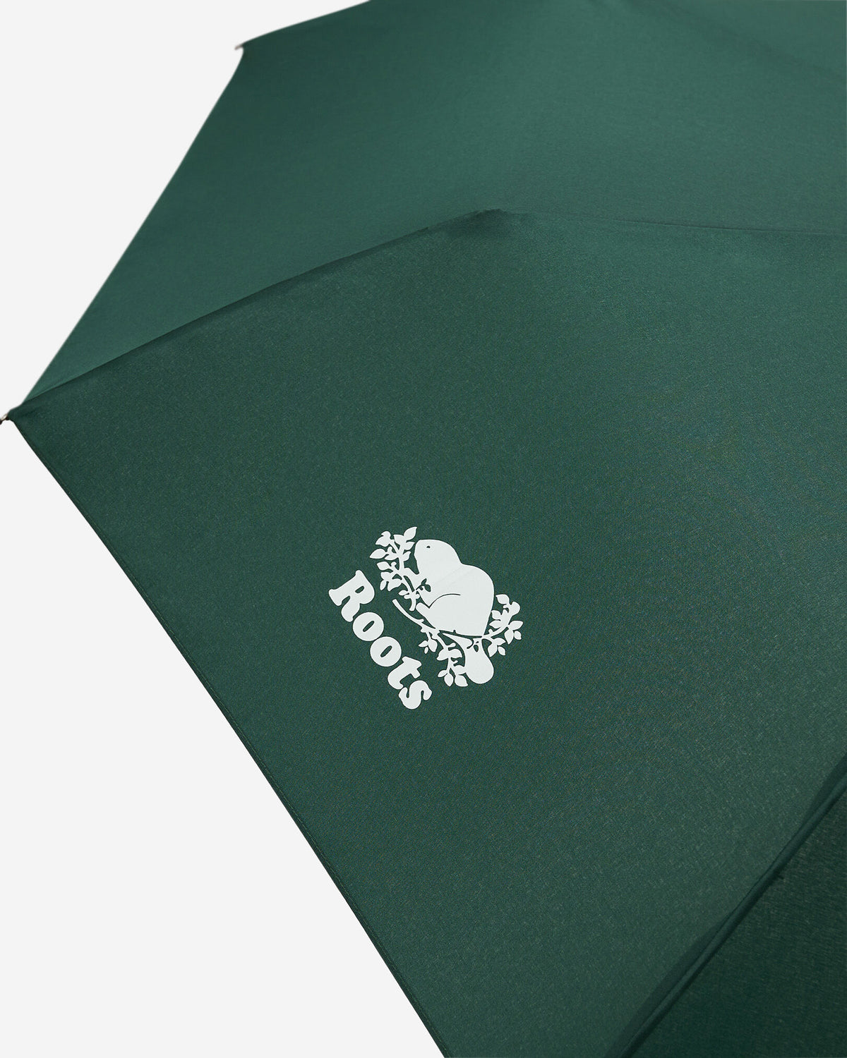 Umbrella / VARSITY GREEN