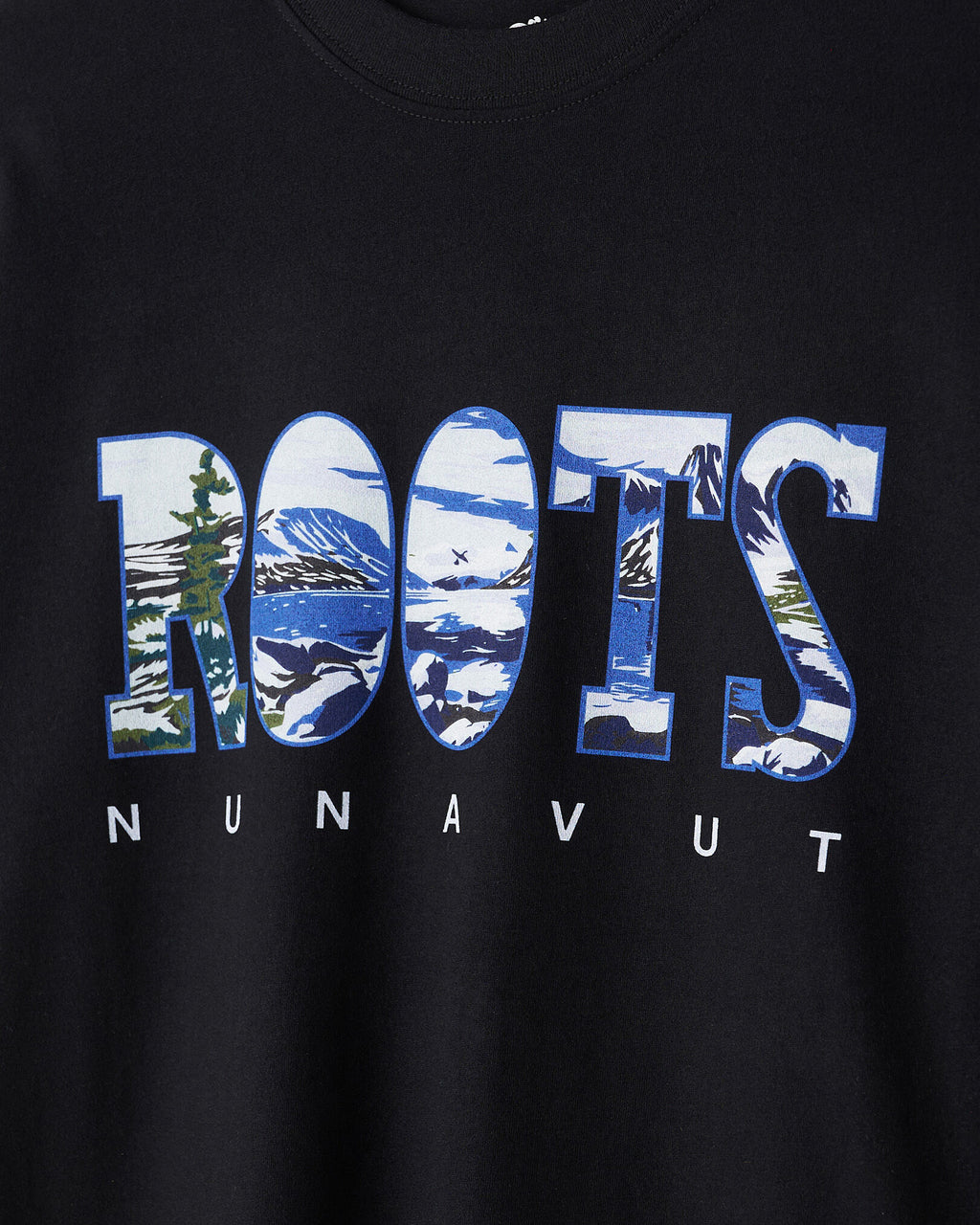 Greetings From North T-Shirt / BLACK