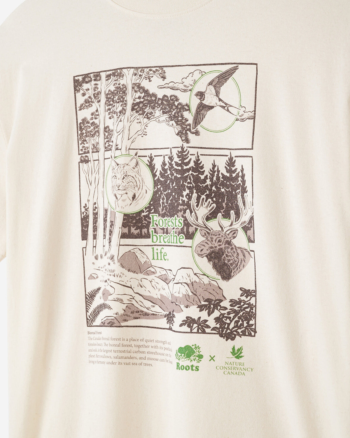 X NCC Earth Month T-Shirt / NATURAL/COCOA BROWN