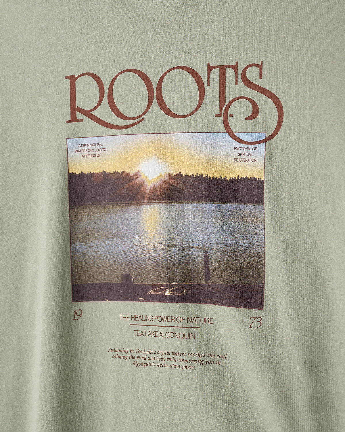 Mens Wilderness Snapshot T-Shirt / SHADOW GREEN