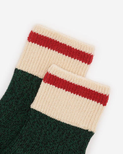 Adult Cotton Cabin Ankle Sock / VARSITY GREEN MIX