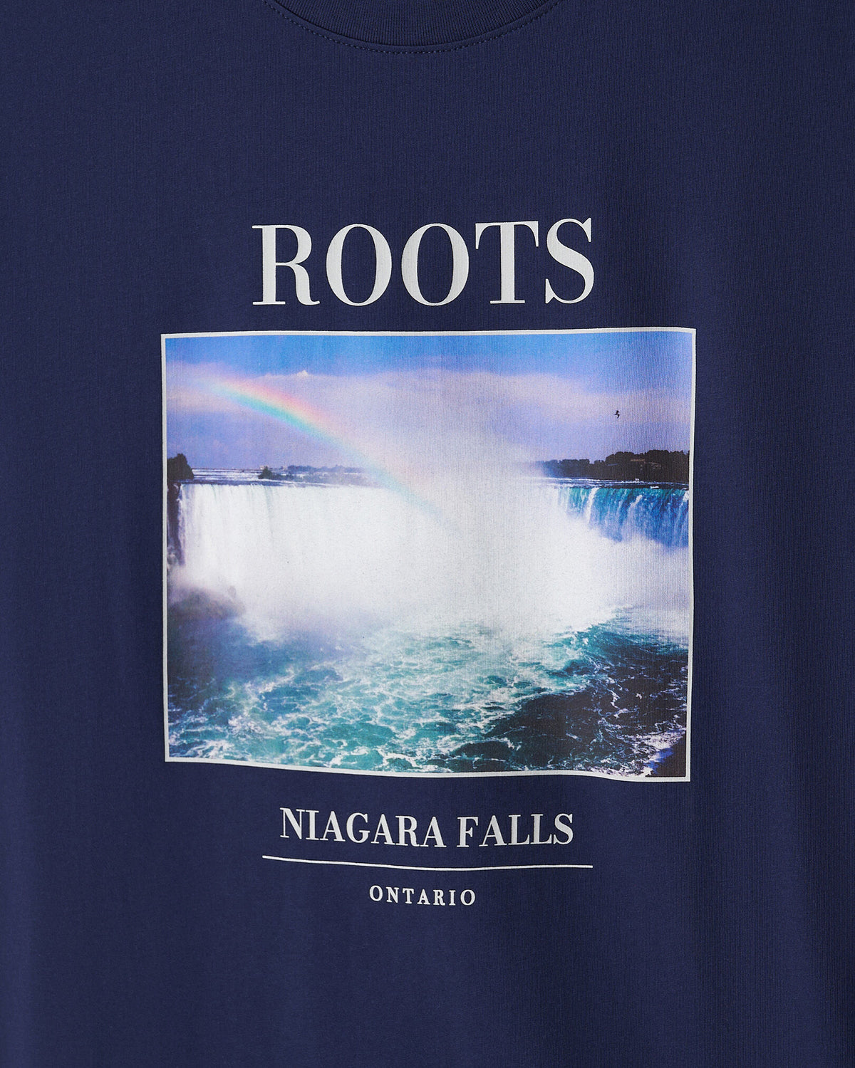Mens Established In Nature T-Shirt / INDIGO INK