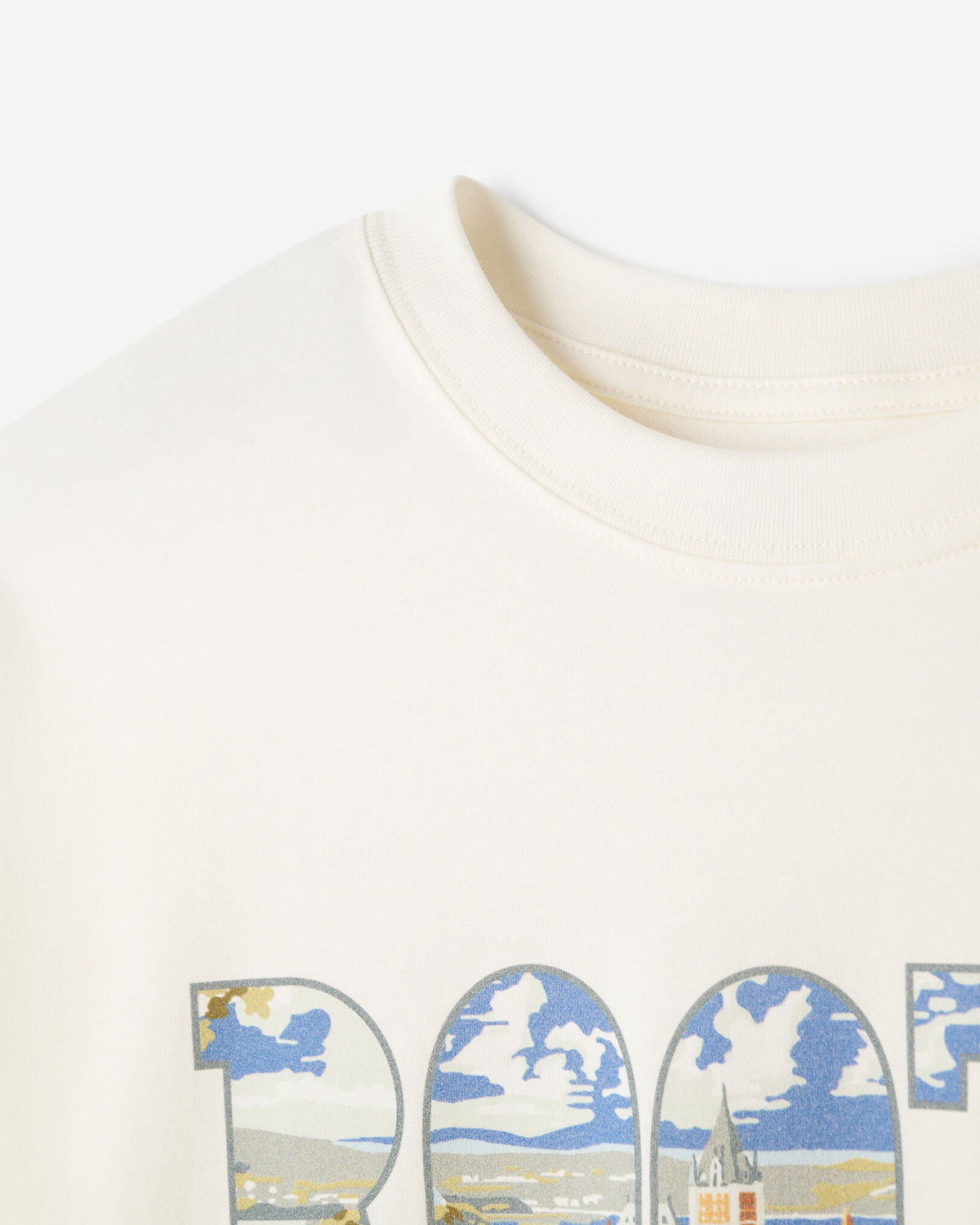 Greetings From Central T-Shirt / EGRET