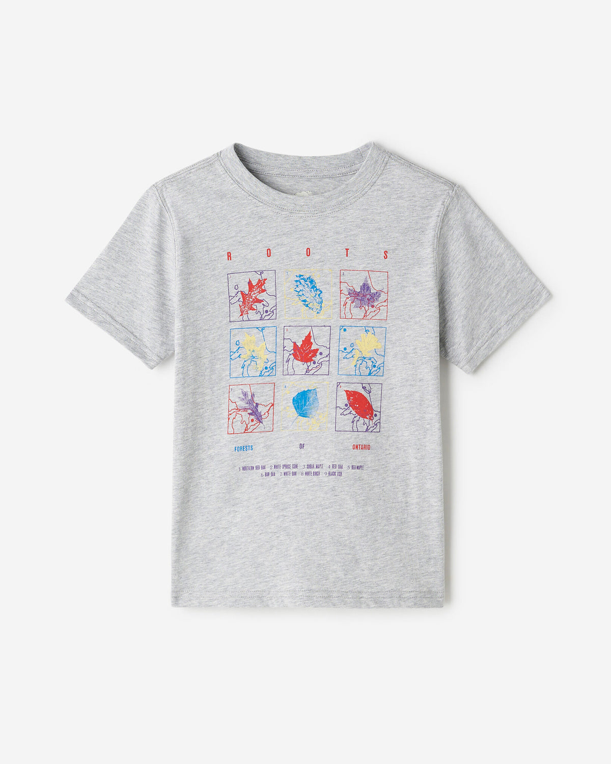 Kids Little Leaves T-Shirt / HEATHER GREY