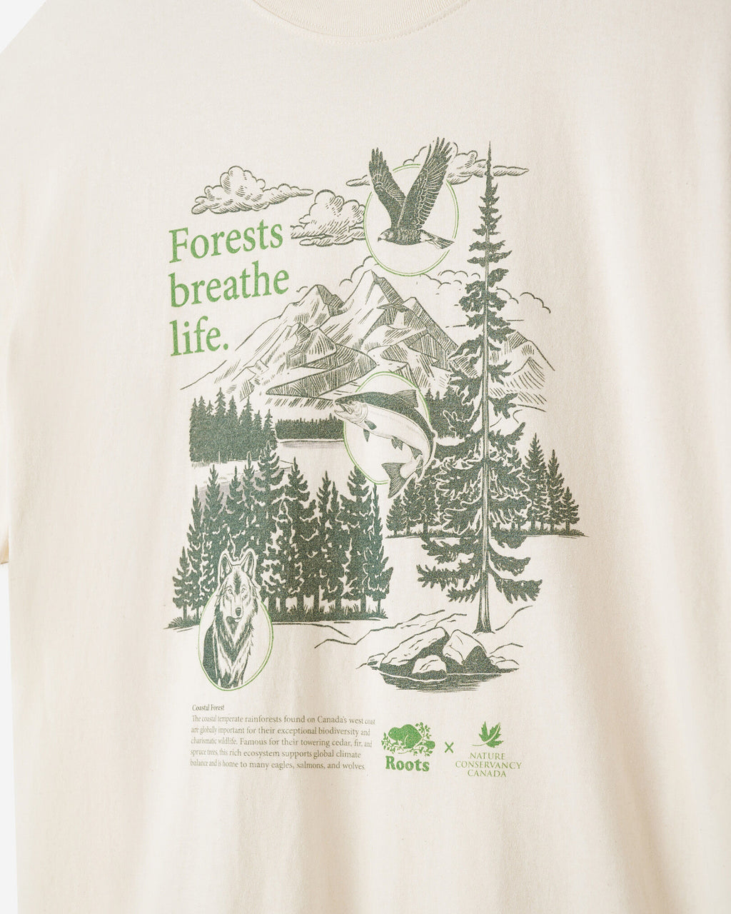 X NCC Earth Month T-Shirt / NATURAL/GREEN