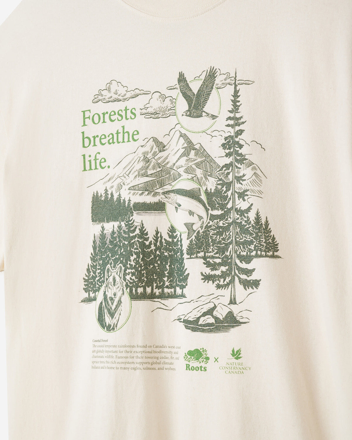 X NCC Earth Month T-Shirt / NATURAL/GREEN