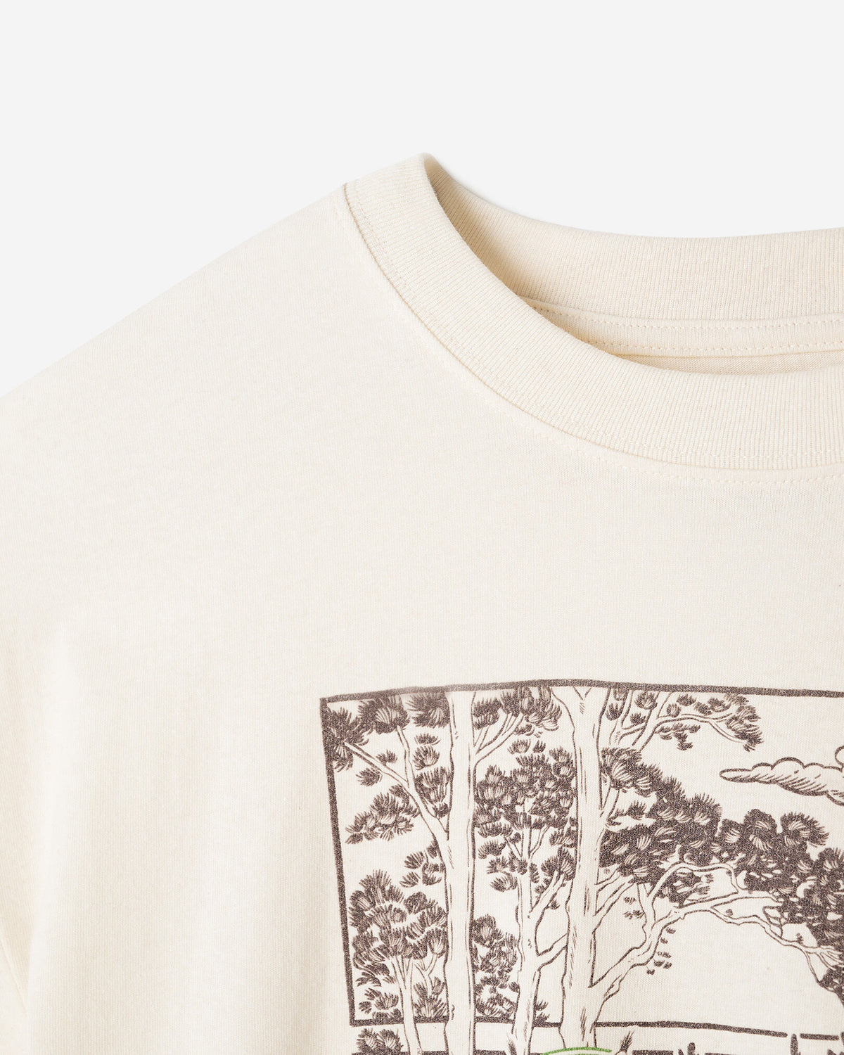 X NCC Earth Month T-Shirt / NATURAL/COCOA BROWN