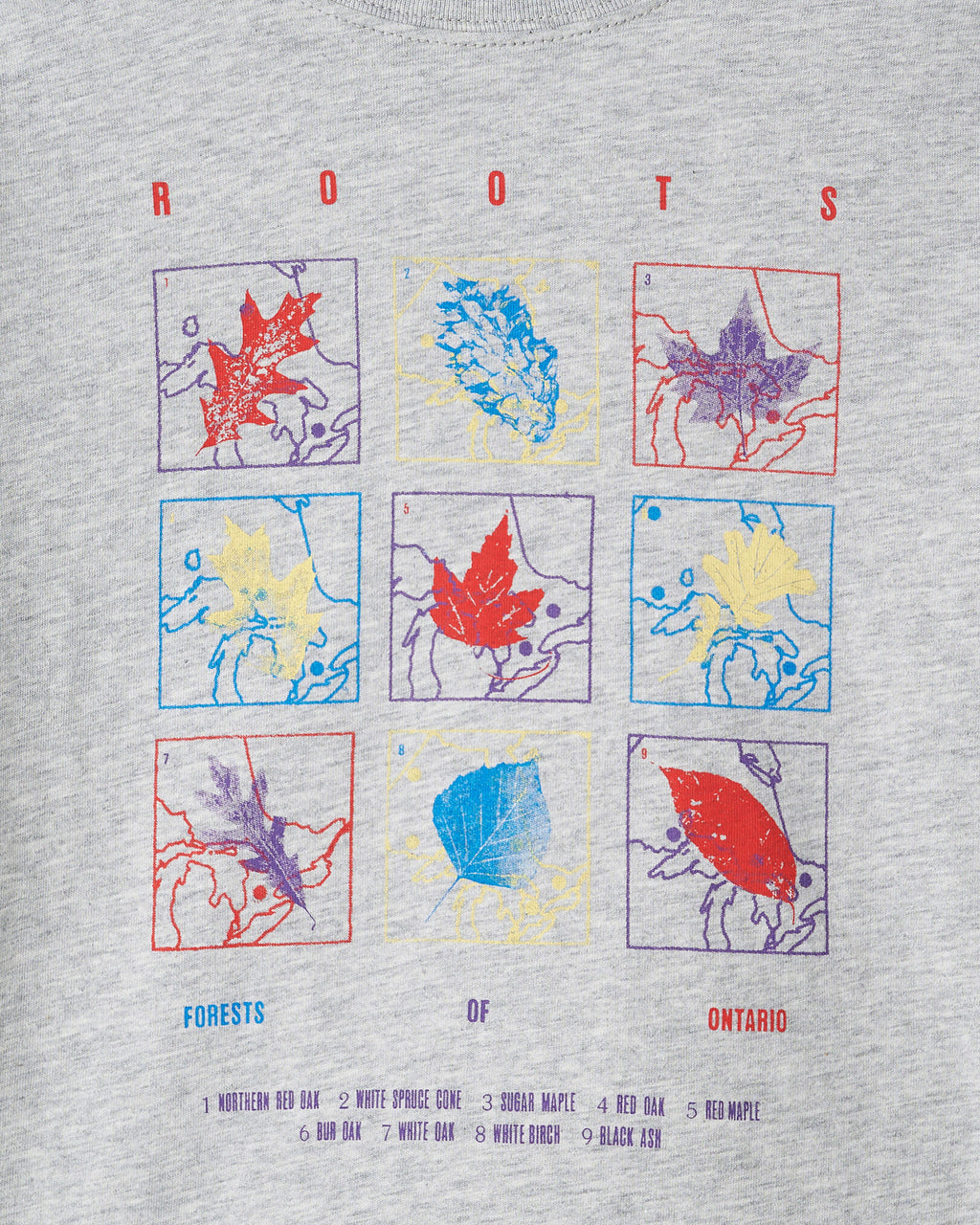 Kids Little Leaves T-Shirt / HEATHER GREY