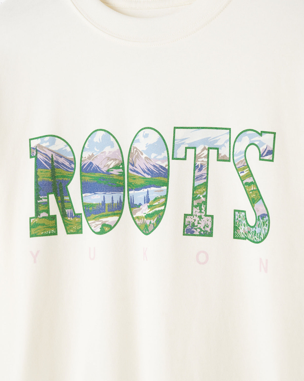 Greetings From North T-Shirt / EGRET