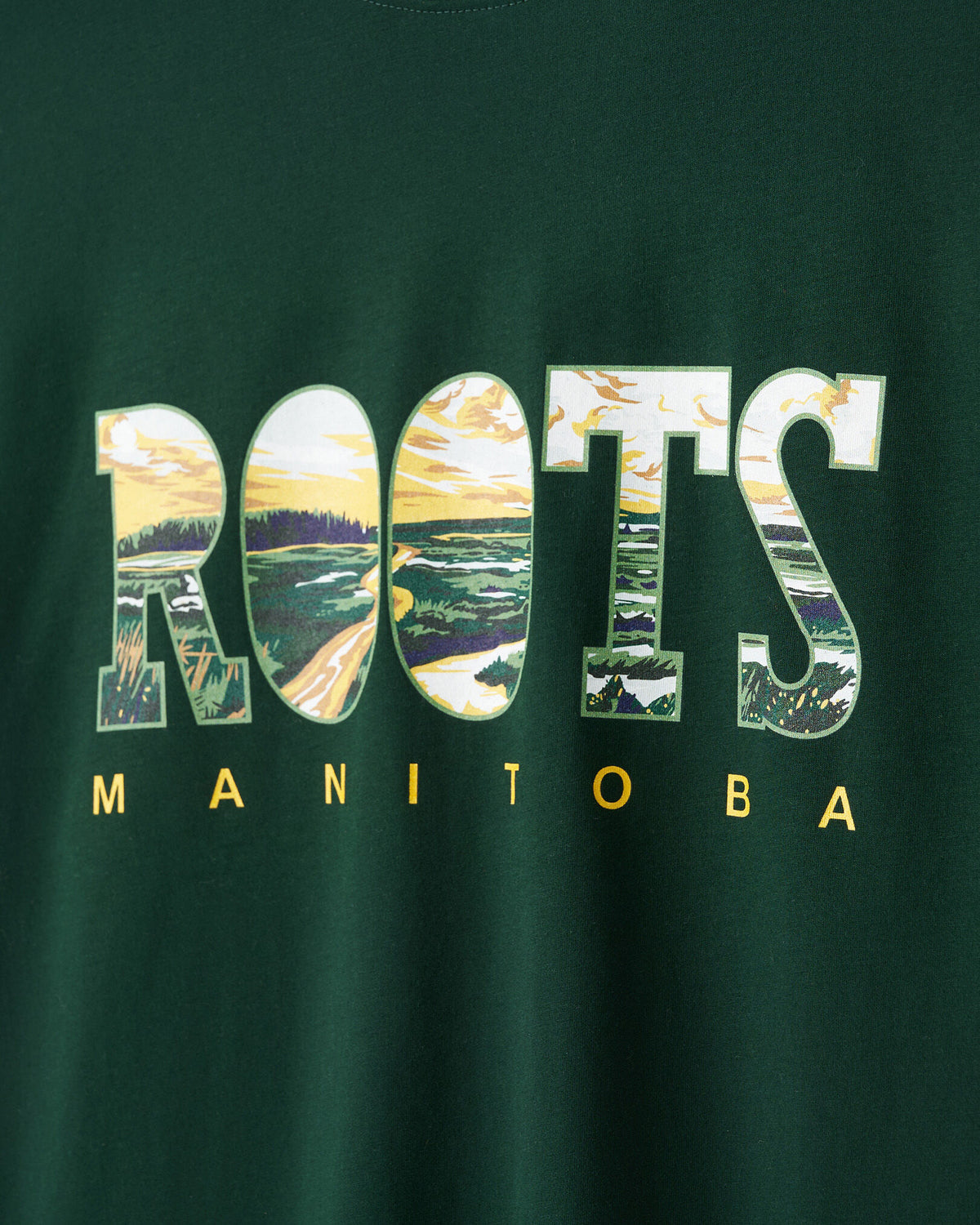 Greetings From Central T-Shirt / VARSITY GREEN