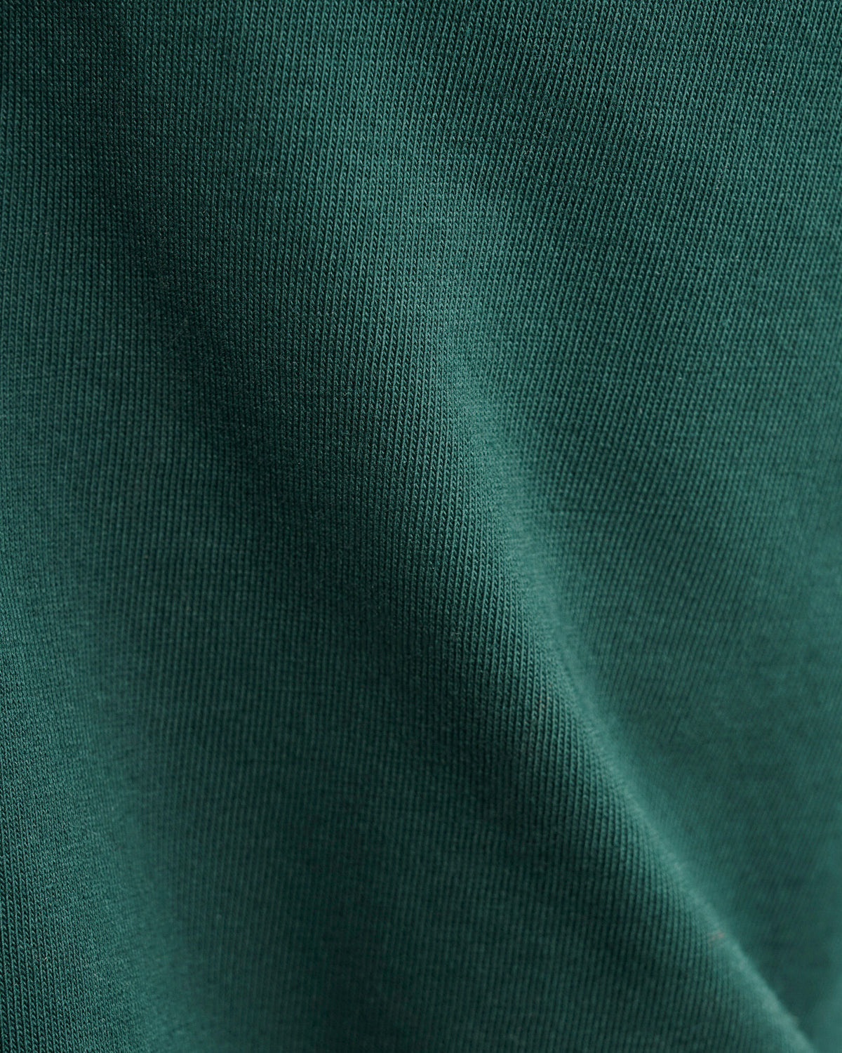 X Zanmang Loopy T-Shirt / VARSITY GREEN