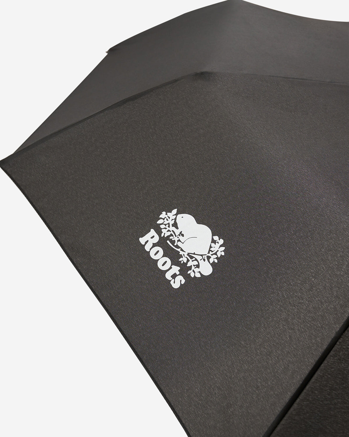 Umbrella / BLACK