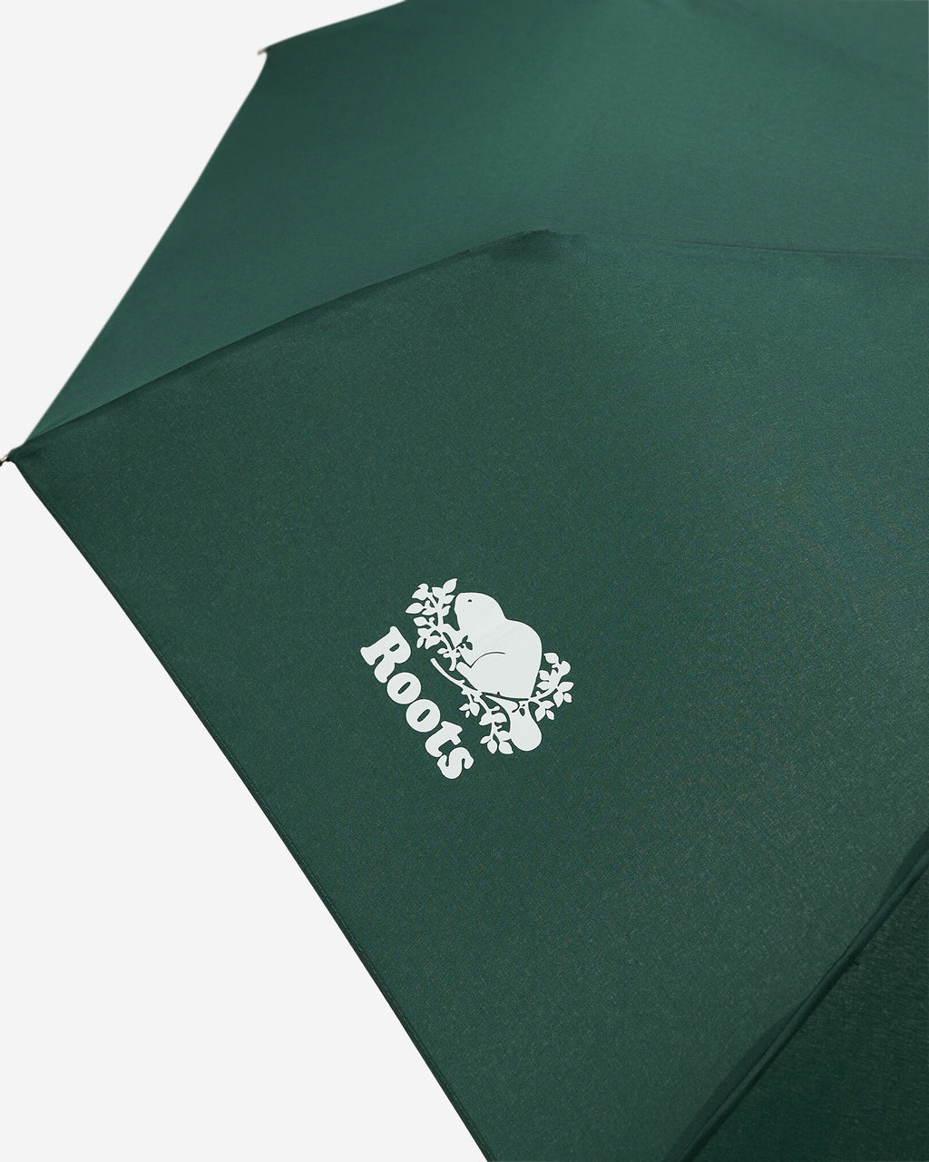 Umbrella / VARSITY GREEN