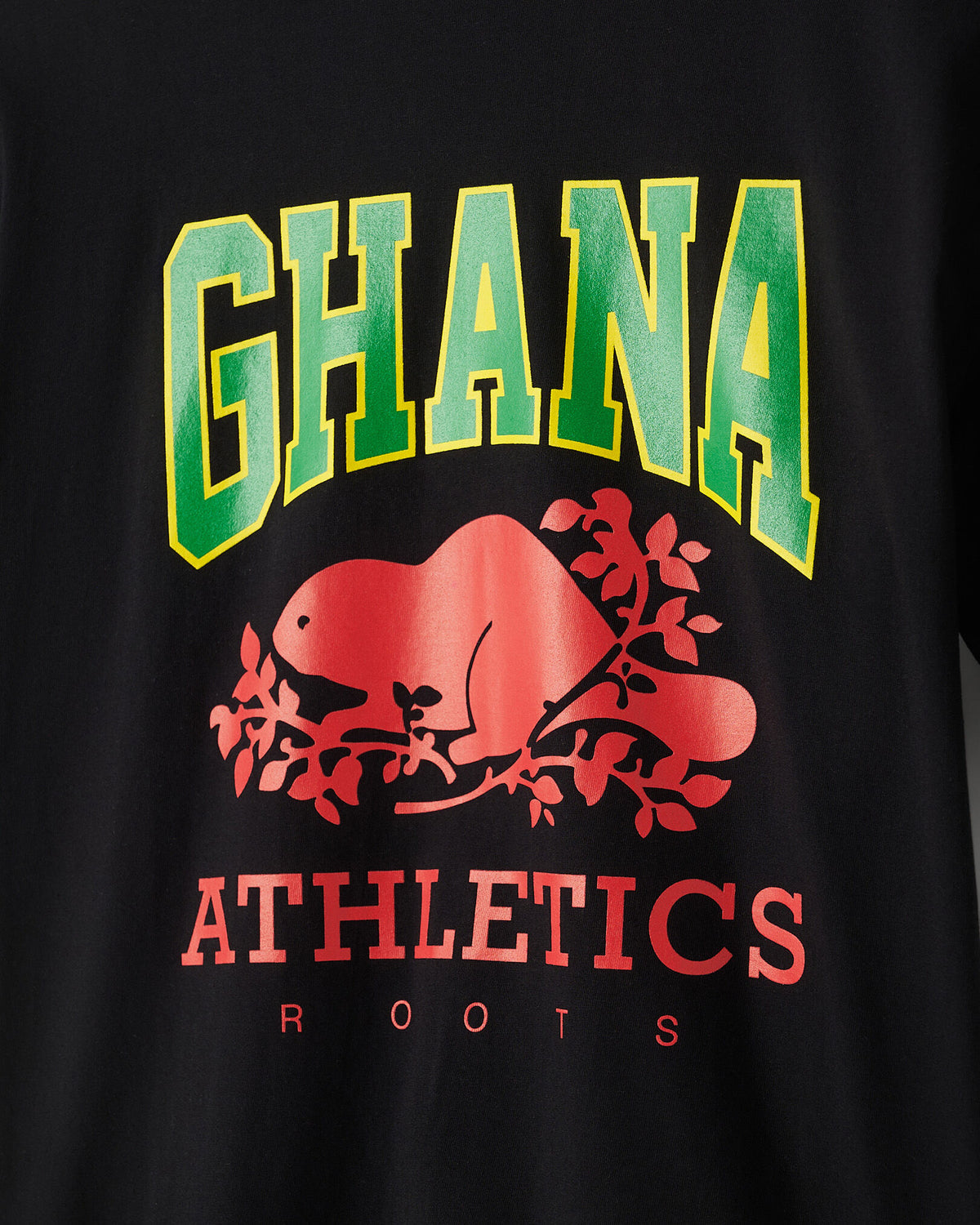 Worldwide T-Shirt / GHANA