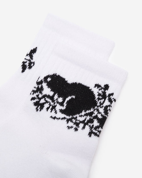 Adult Cooper Beaver Ankle Sock / WHITE