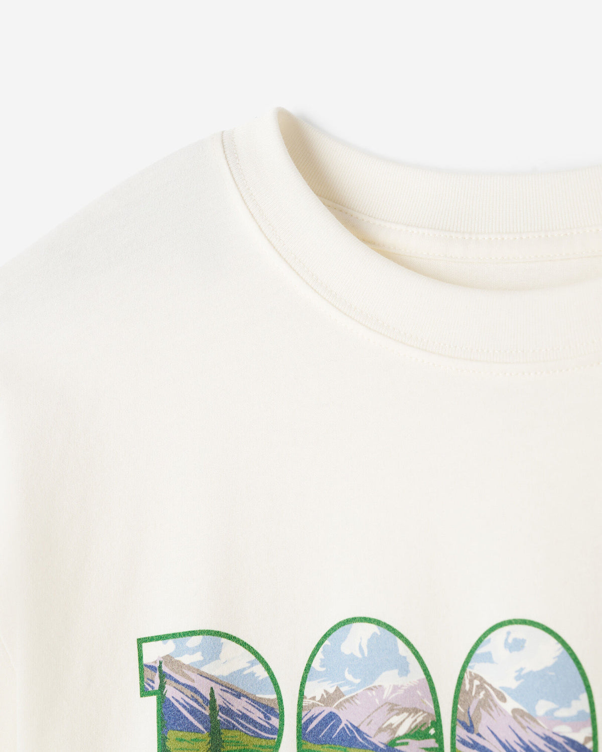 Greetings From North T-Shirt / EGRET