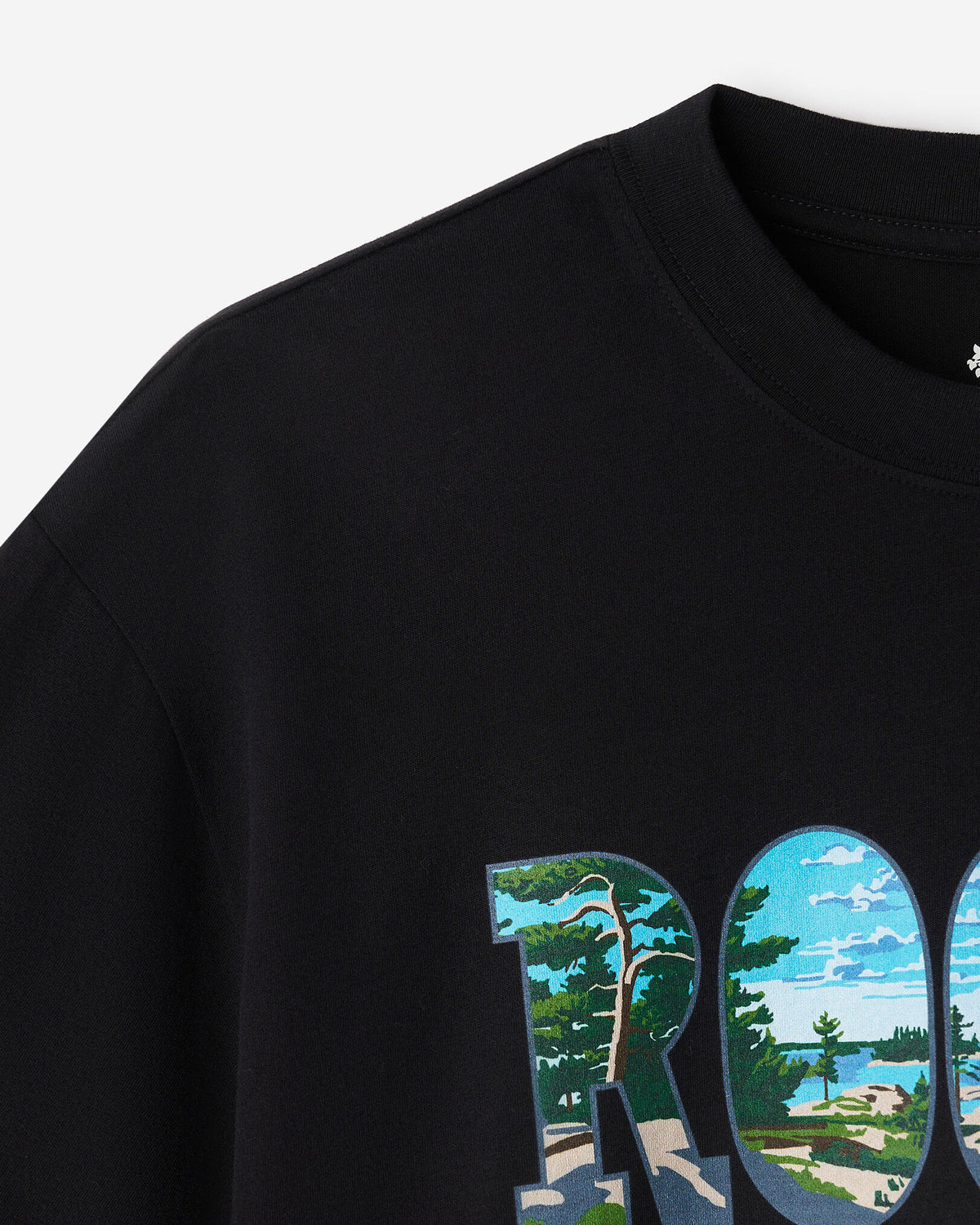 Greetings From Central T-Shirt / BLACK