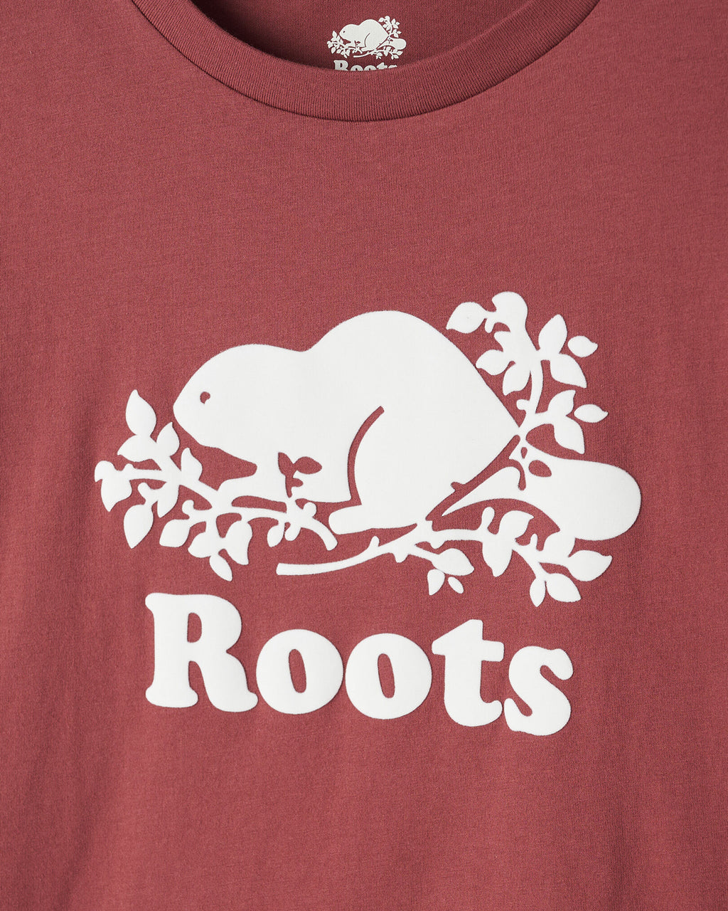 Womens Organic Relaxed Cooper T-Shirt / APPLE BUTTER