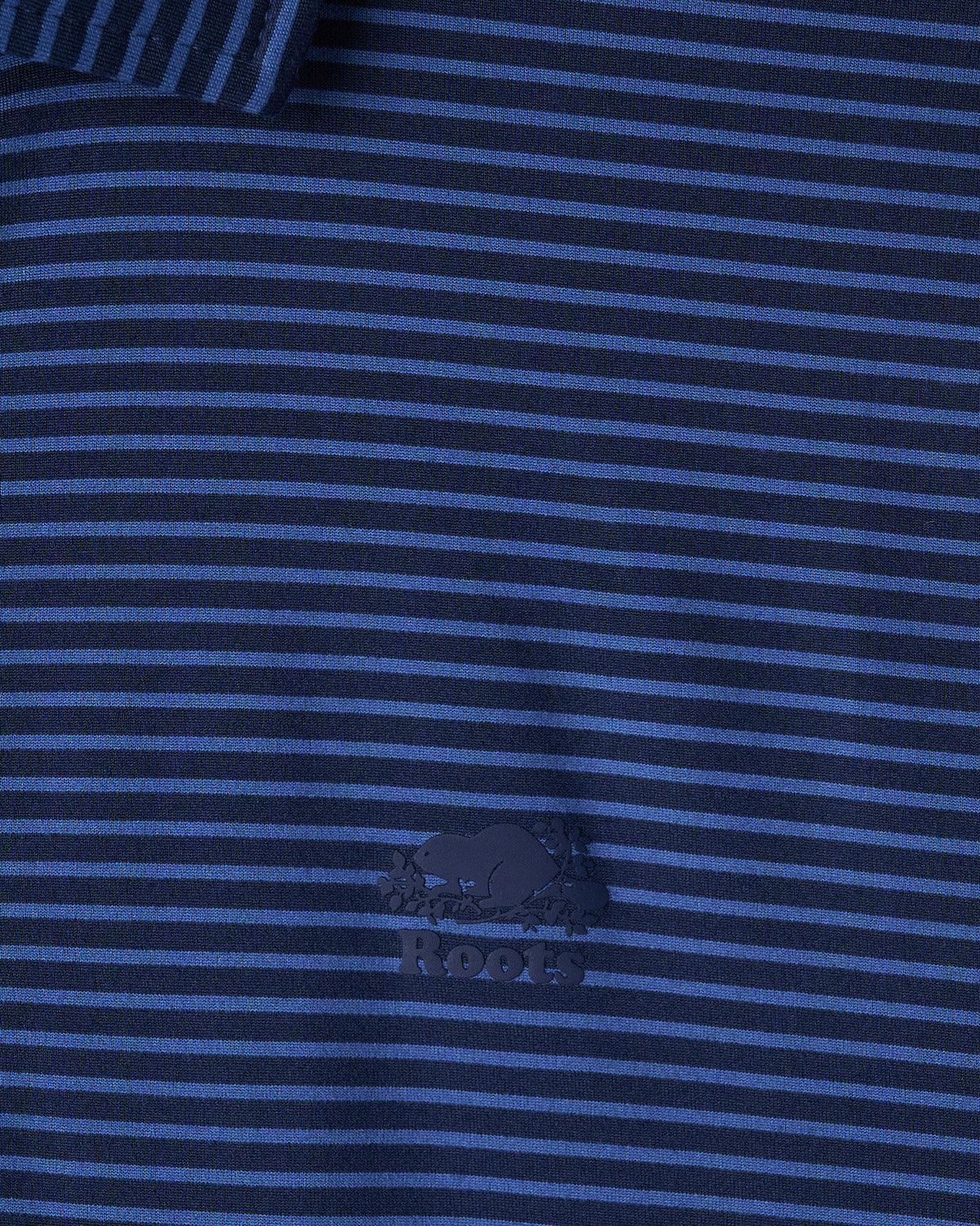 Renew Knit Striped Polo / MONSOON BLUE STRIPE