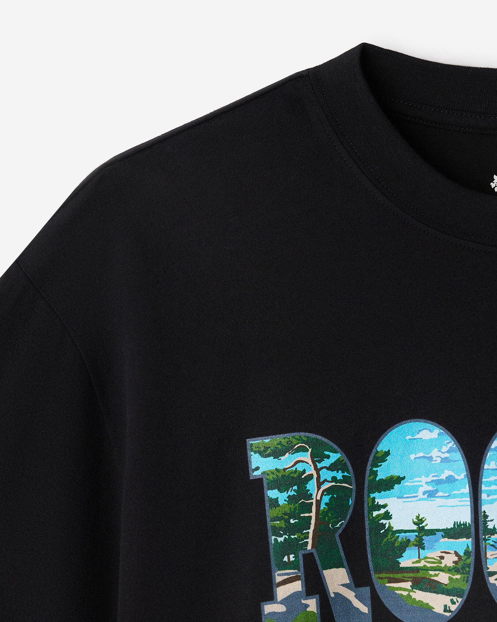 Greetings From Central T-Shirt / BLACK