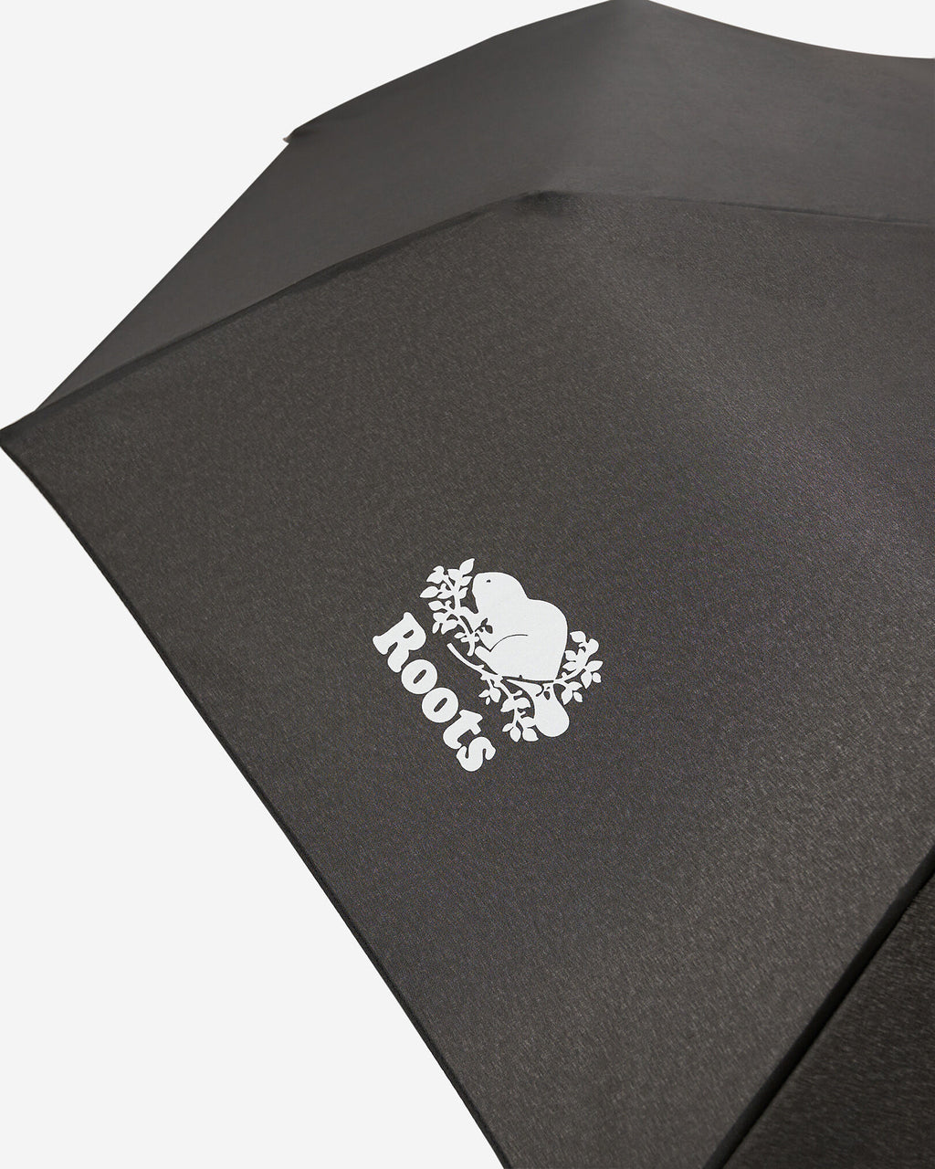 Umbrella / BLACK