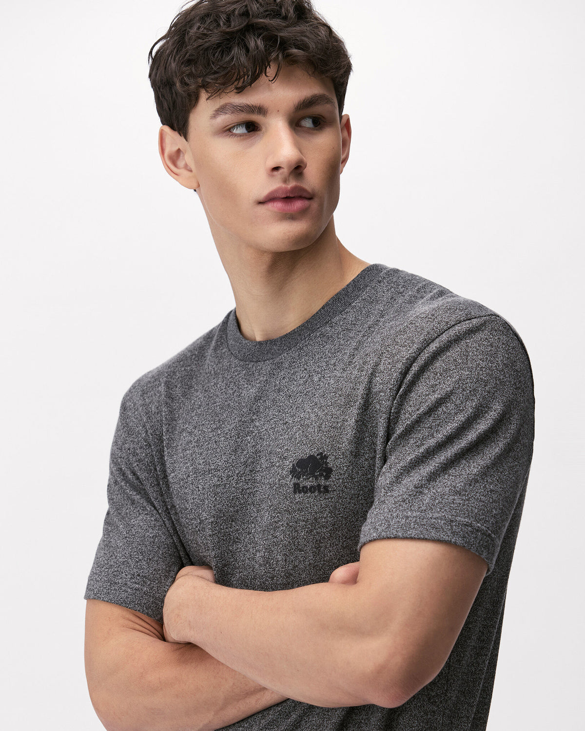 Mens Organic Perfect Pepper T-Shirt / CHARCOAL PEPPER