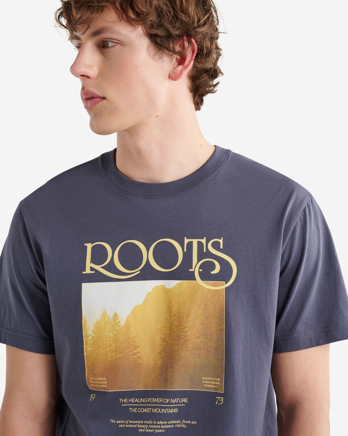 Mens Wilderness Snapshot T-Shirt / GRAPHITE GREY